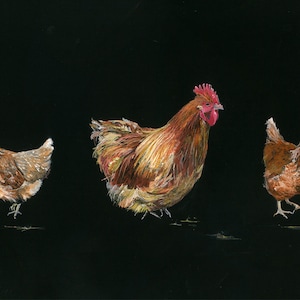 Carte poulet