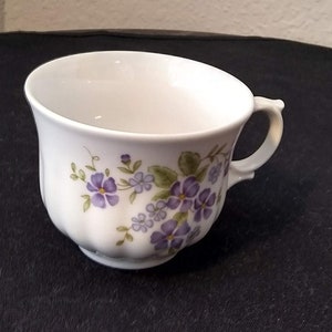 Wunsiedel Retsch 1970s Bavarian Germany Teacup