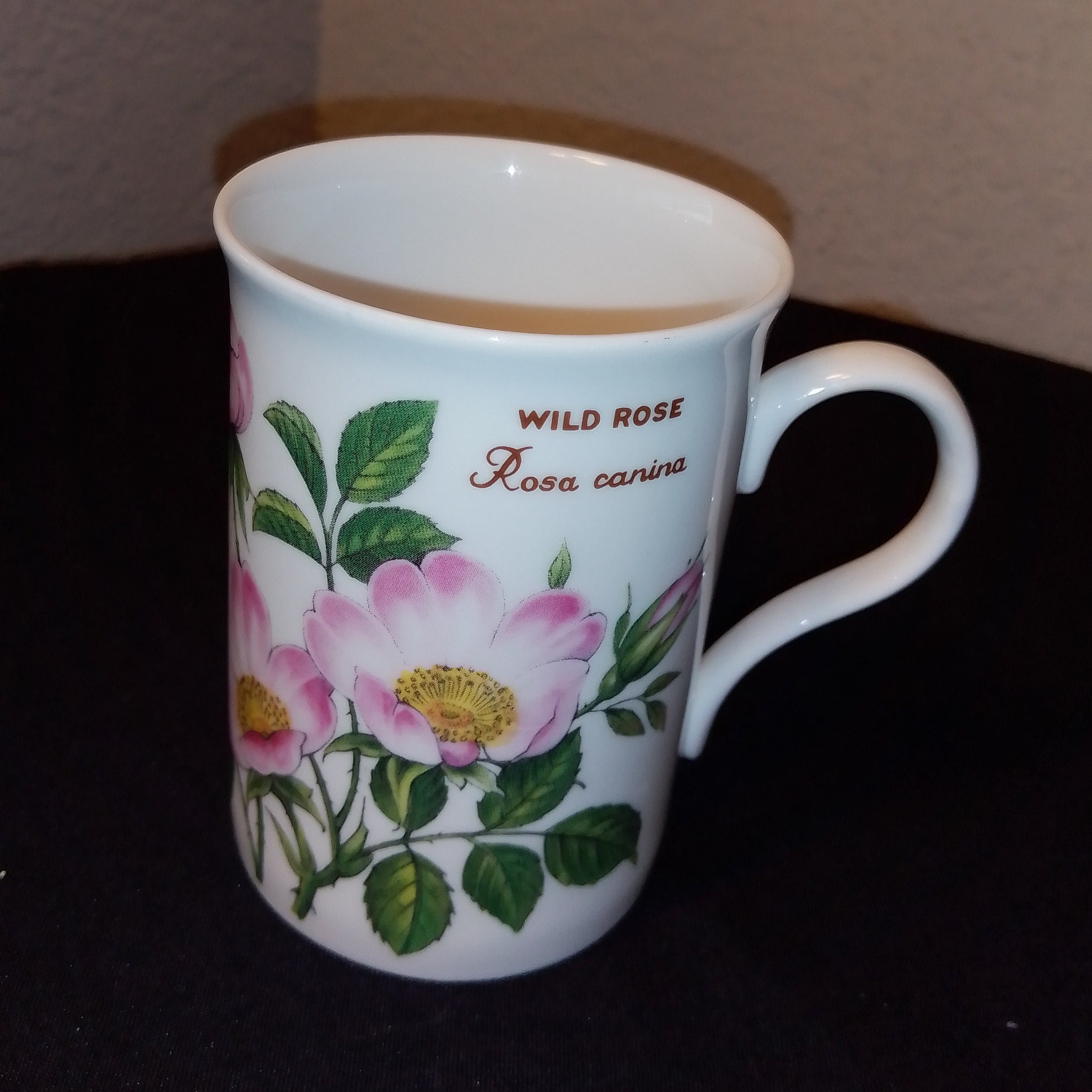 Couronne Trent Wild Rosa Canina fine tasse de thé en porcelaine dos anglais  -  France