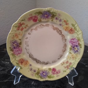 Antique 1875-1900 Hand Painted Scalloped Edge Gold Trim C T Carl Tielsch Altwasser Co Germany Porcelain Plate