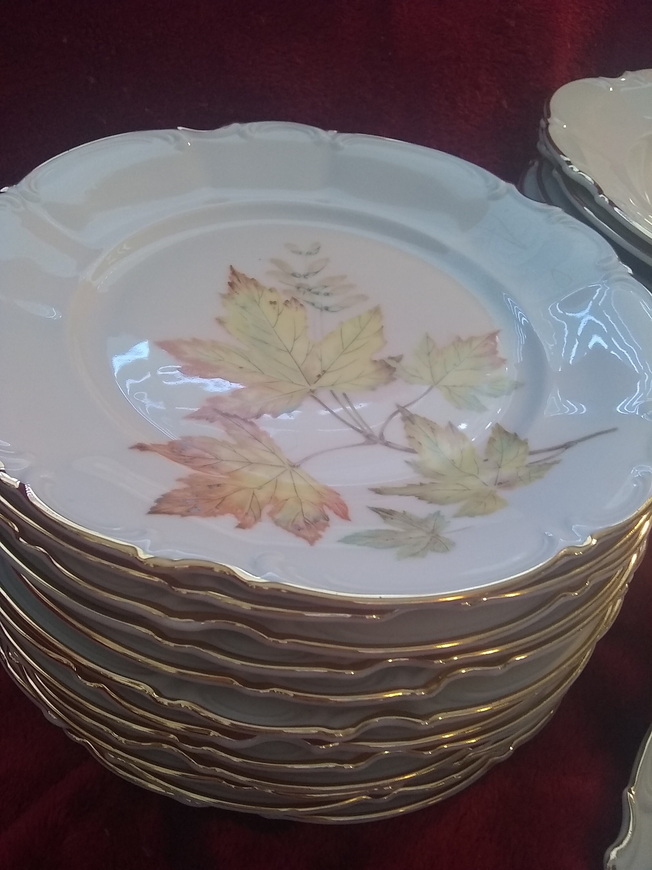 Hutschenreuther Selb LHS Bavaria Germany Autumn Leaves Pasco China 72 Piece Set Etsy