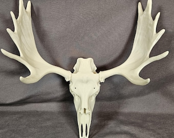 3D Printed Moose Skull Replica – Rustic Faux Antler Wall Art