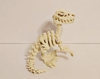 Raptor (Velociraptor) Fossil Skeleton | Prehistoric Display Gift