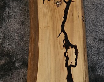 Air plant wall hanger (Wood/Resin and Copper) fractal burn design