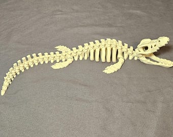 Articulated Mosasaur Skeleton Fossil – 3D Printed Reptile Model