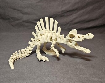 Skeleton Spinosaurus Fossil – Articulated Spino Dinosaur by Flexi Factory | 3D Printed Poseable Display Model