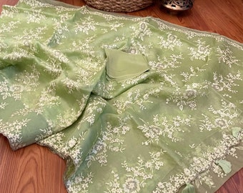 Saree di organza pura ricamata verde pistacchio chiaro con bordo capesante / Saree organza verde chiaro