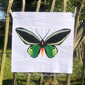 May include: A white fabric square with a green, black, and orange butterfly sewn on it. The butterfly has a black body with green wings and orange accents. The fabric square is hanging on a wooden fence with the text "Sewn by @bengals_and_quilts" at the bottom.