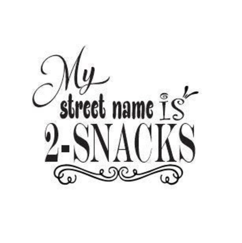 My Steet Name is 2-snacks Stainless Steel tumbler laser Engraved cup/mug Polar Camel 20oz insulated tumbler with Lid image 2