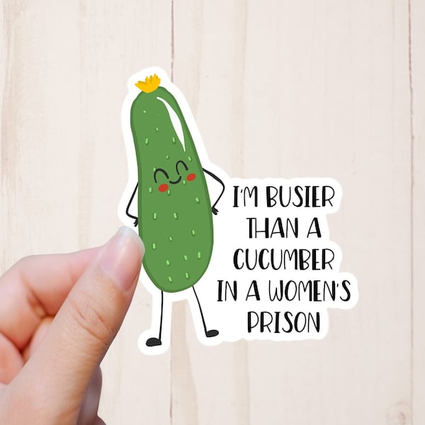 Funny Naughty Stickers Etsy