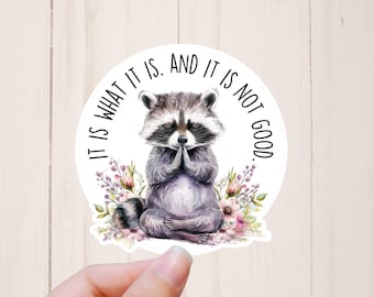 Funny Raccoon Sticker, It Is What It Is, Laptop Stickers
