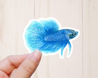 May include: A blue betta fish sticker with a white outline. The fish is swimming with its fins spread out.
