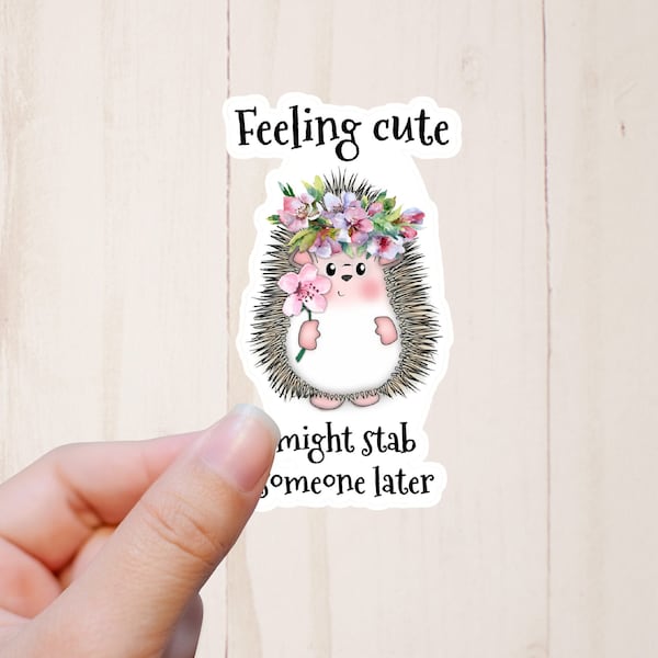 Feeling Cute Might Stab Someone Later Sticker, Cute Hedgehog Sticker