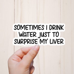 Funny Stickers, Snarky Stickers, Sarcastic Water Bottle Stickers, Coworker Gift, Alcohol Humor Gifts