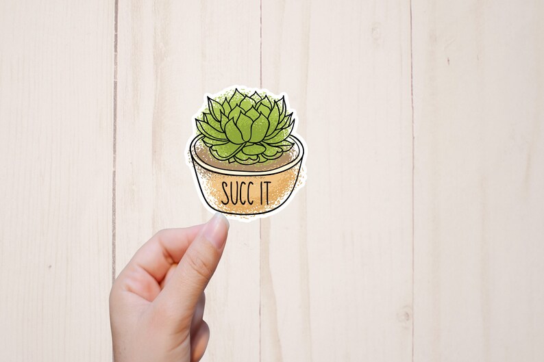 May include: A green succulent plant in a brown pot with the text "SUCC IT" on the front.