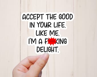 Funny Stickers, I'm a Fucking Delight, Sarcastic Stickers, Mature Adult Humor