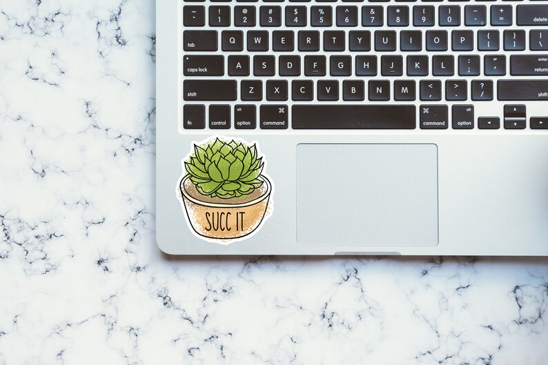 May include: A green succulent plant in a brown pot with the text "SUCC IT" on a laptop.