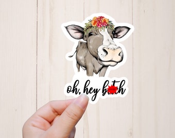 Oh Hey Bitch pegatina, pegatina de vaca divertida, humor adulto maduro, regalo de mejor amigo, pegatinas sarcásticas y atrevidas