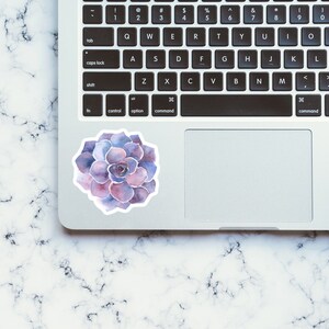 May include: A watercolor painting of a purple succulent plant on a white laptop.
