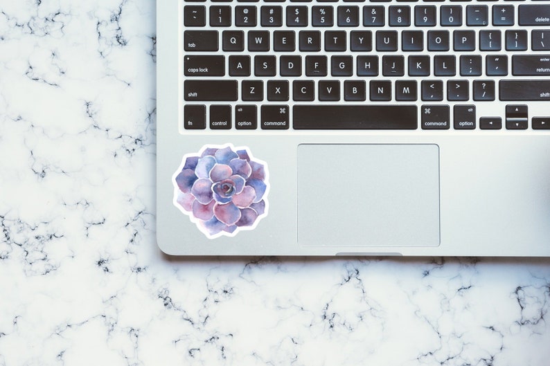 May include: A watercolor painting of a purple succulent plant on a white laptop.