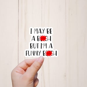 I May Be A Bitch But I'm A Funny Bitch Sticker, Sarcastic Rude Stickers, Mature Adult Humor, Bitch Stickers