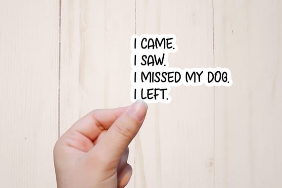 Funny Dog Sticker, I Came I Saw I Missed My Dog I Left, Sarcastic Stickers, Dog Mom Sticker