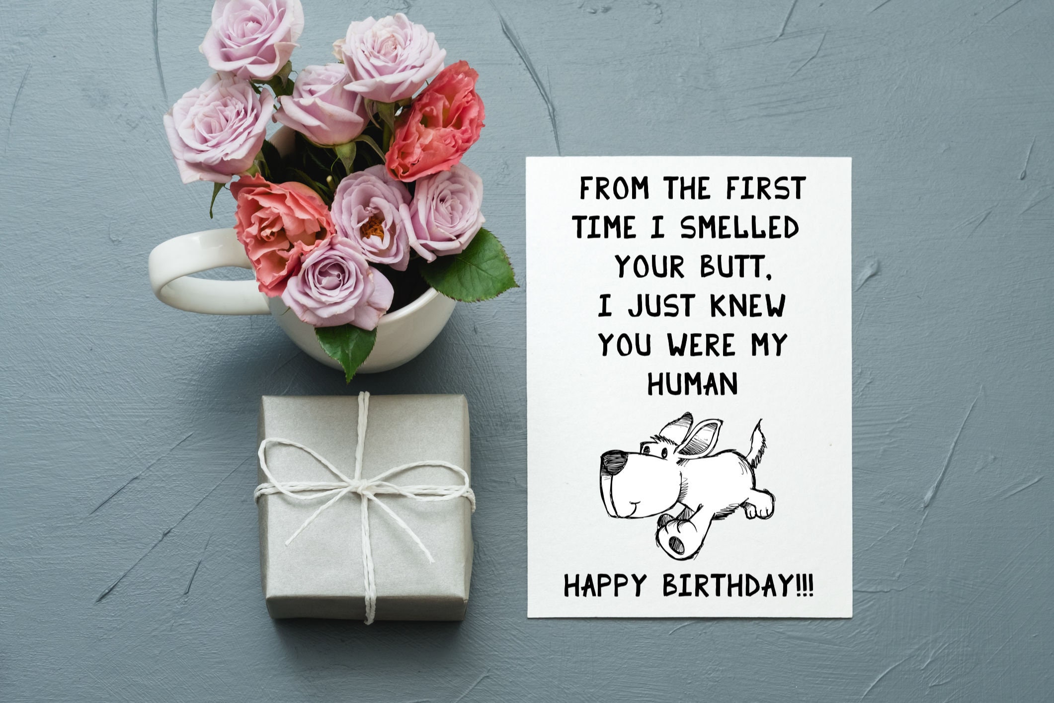 Funny Happy Birthday Card From the Dog, Dog Mom Birthday Card, Card for ...