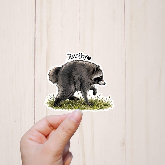 Jimothy The Raccoon Sticker, Viral Seattle Raccoon