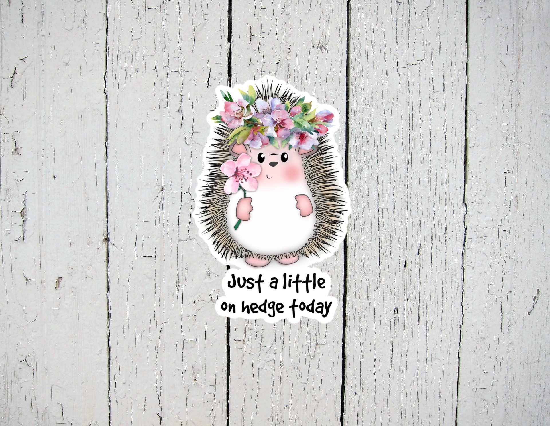 Hedgehog Sticker Just a Little on Hedge Today Hedgehog Puns Etsy