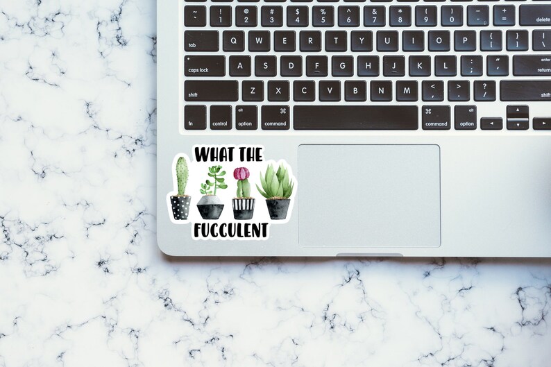 May include: A laptop computer with a sticker on the trackpad that says "What the Fuccolent" with a row of five potted succulents in watercolor style.