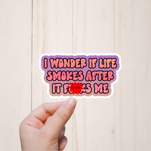 Funny Stickers, Snarky Sticker, I Wonder If Life Smokes After It Fucks Me, Mature Adult Humor, Best Friend Stickers, Dirty Words