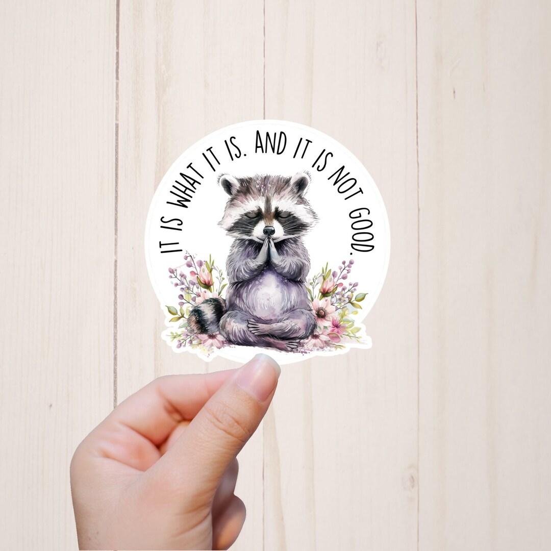 Funny Raccoon Sticker, It is What It Is, Laptop Stickers - Etsy