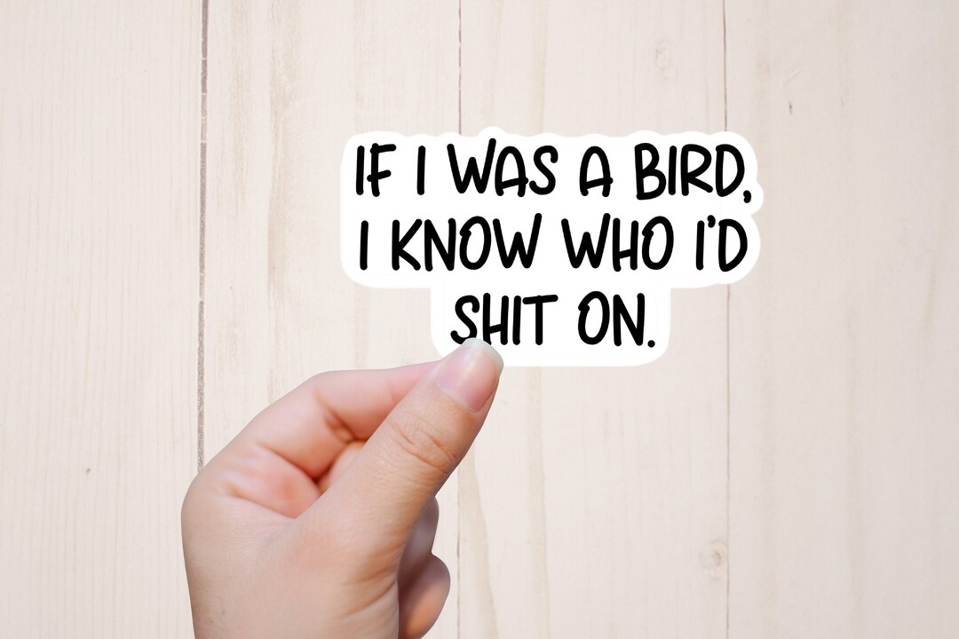 Funny Inappropriate Stickers If I Was a Bird I Know Who Etsy