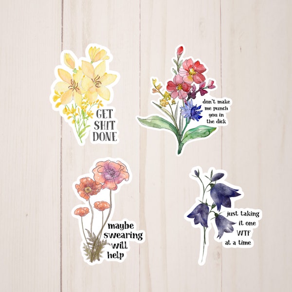 Naughty Stickers Etsy