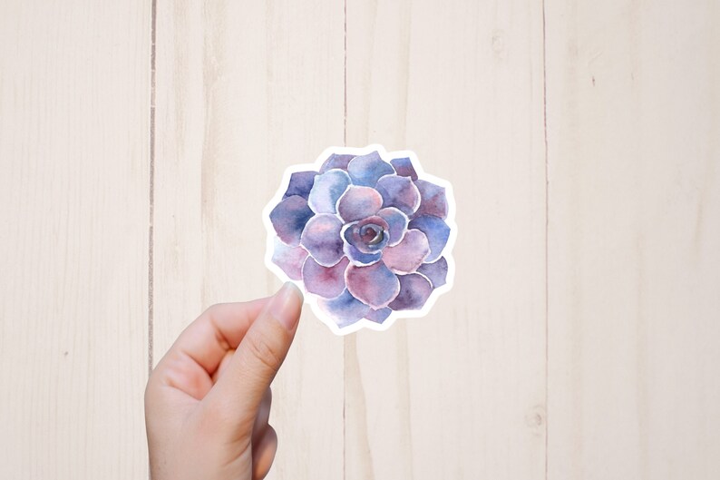 May include: A watercolor sticker of a purple succulent plant with a white outline.