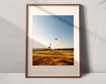 Old Faithful With Birds Flying In Front - DIGITAL DOWNLOAD -