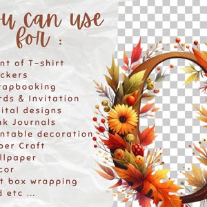 Watercolor Spring Floral Alphabet Collection Clipart