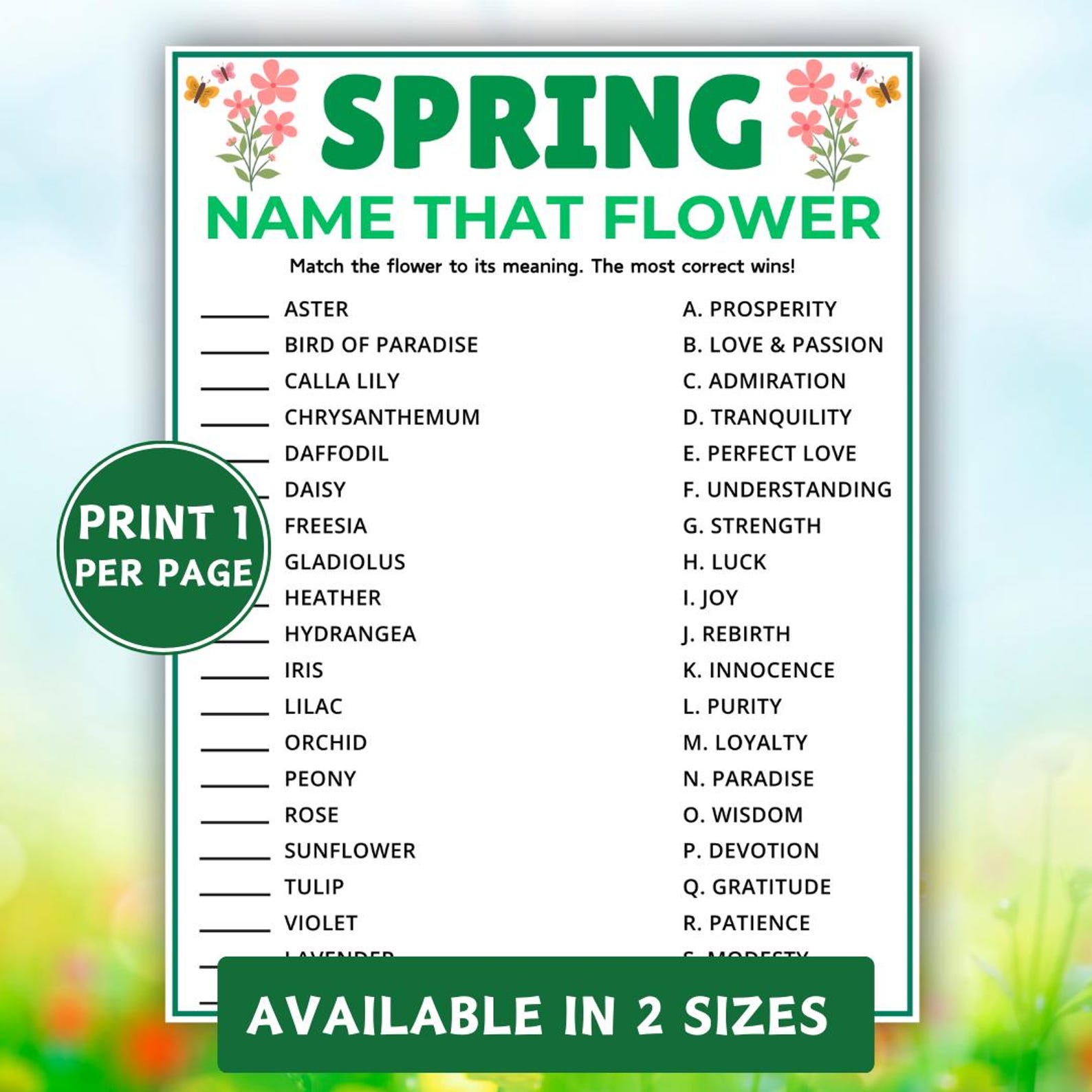 Flowers Trivia Match up Game, Printable Spring Games, Spring Trivia ...