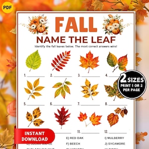May include: A printable game sheet titled FALL NAME THE LEAF featuring orange pumpkin illustrations at the top and twelve numbered lines for identifying various autumn leaves. The page includes a black circular badge stating 2 SIZES.