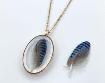 Real Bluejay Small Feather in Resin Pendant Necklace, Gold or Silver, Stainless Steel Cable Chain