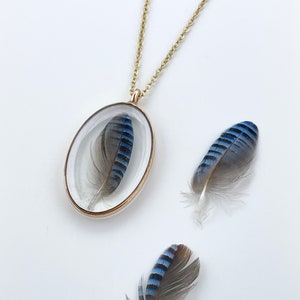 Real Bluejay Small Feather in Resin Pendant Necklace, Gold or Silver, Stainless Steel Cable Chain