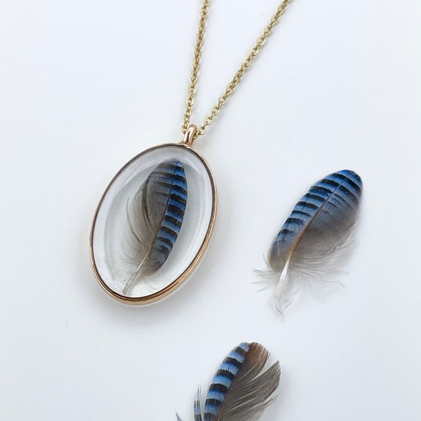 Real Bluejay Small Feather in Resin Pendant Necklace, Gold or Silver, Stainless Steel Cable Chain