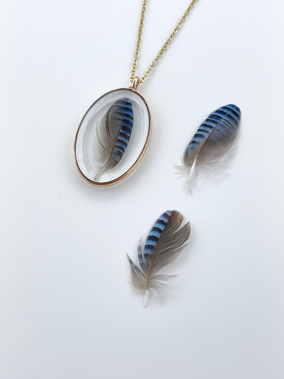 Real Bluejay Small Feather in Resin Pendant Necklace Gold or Silver Stainless Steel Cable Chain Etsy