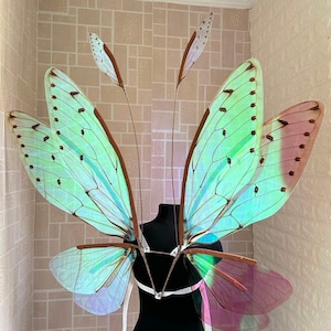 Fairy iridescent cicada wings, Large fairy wings, Wings photo prop