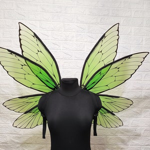 Full green Fairywing, Fairywing for adults, Forest Fairywing
