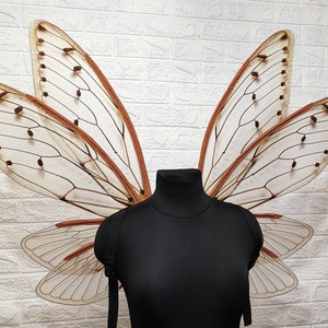 Cicada wings, Moth wings, Fairy wings, Wings for costume, Fairy cosplay