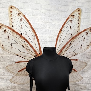 Ali di cicala, ali di falena, ali di fata, ali per costumi, cosplay di fate