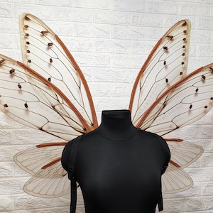 Cicada wings, Moth wings, Fairy wings, Wings for costume, Fairy cosplay