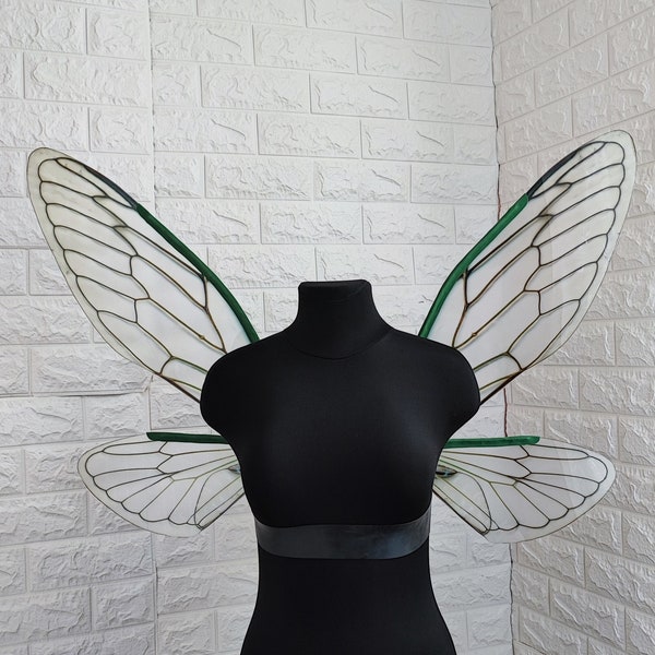 Green cicada wings under the corset, Natural cicada wings, Insect wings for costume, Moth wings, Elf wings