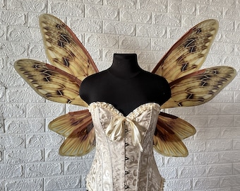 Brown cicada fairy wings, Insect cosplay for adult, Wings for costume, Moth wings